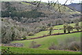 Fields leading down to Old Mill Creek