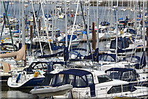 SX8851 : Moored yachts in Dartmouth Harbour by David Martin
