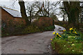 SS8907 : Mid Devon : Country Lane by Lewis Clarke
