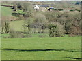 Yealmpton: towards Orchard Farm