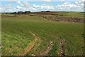 Farmland, Braddock Down