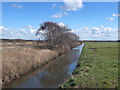 Drummersdale Drain from Wyke Cop Road