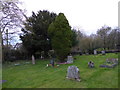 St Nicholas, Dormston: churchyard (b)