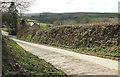 Lane past Cripstone Farm