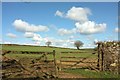 Field near Bagstone