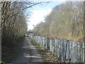 Footpath and cycleway beside the railway