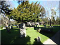 St Andrew, Great & Little Hampton: shadows 