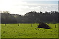 Farmland, North Holmwood