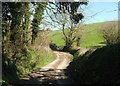 Lane to Pengover Green