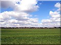 SU4496 : Arable field near Frilford by Steve Daniels