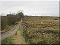 Track to a disused quarry