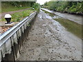 Dried up section of the Aylesbury Arm