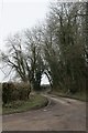 New Road near Winterborne Stickland