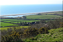 SY5287 : View over Swyre Road to West Bexington Nature Reserve by David Martin