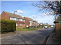 Three Elm Lane, Golden Green