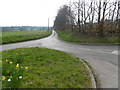 Looking down Four Oaks Road