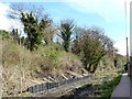 Bank repairs, Thames & Severn Canal