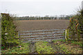 Prepared field near Brook House Farm