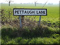 Pettaugh Lane sign