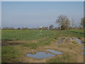 Footpath off Pettaugh Lane