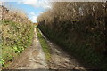 Lane to Higher Beara