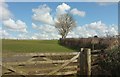 Field and boundary near Botelet Farm