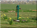 Water pump near Ivytodd