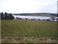 Grazing towards Derwent Reservoir