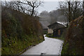 Mid Devon : Country Lane