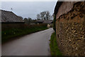 Mid Devon : Country Lane