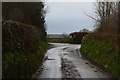 Mid Devon : Country Lane