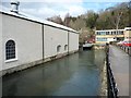 SO8602 : The River Frome at Brimscombe Port by Christine Johnstone