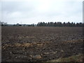 Field north of the B6278, Snods Edge