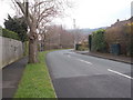 Thorpe Lane - viewed from Ings Road