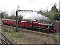 Steam locomotive in Chester