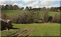 Valley near Boconnoc