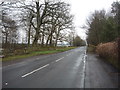 Burnmill Bank (B6278), Snods Edge