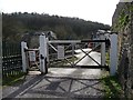 SO8802 : Brimscombe St Mary's level crossing, from the north by Christine Johnstone