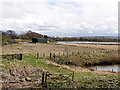 SD4214 : WWT Wetlands Centre, Martin Mere by David Dixon