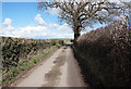 Minor road north of Condover