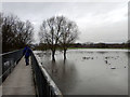 Flooding at Baswich