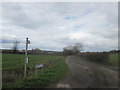 Wood Lane north of Askham