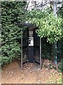 Overgrown phone box