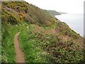 SX1950 : The coast path approaching Polperro by Philip Halling