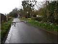 Crouch Lane in the rain