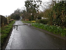 TQ6156 : Crouch Lane in the rain by Marathon