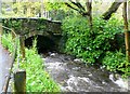 River near Trem-y-Coed