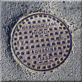O2717 : Manhole cover, Bray by Rossographer