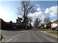 TM0954 : B1078 Coddenham Road, Needham Market by Geographer