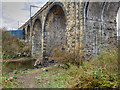 SD7807 : River Irwell, Radcliffe Viaduct by David Dixon